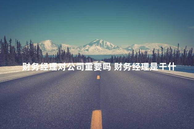财务经理对公司重要吗 财务经理是干什么的